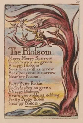 Songs of Innocence and of Experience, Plate 20